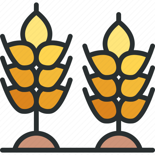Wheat, grain, rice, seeds, branch icon - Download on Iconfinder