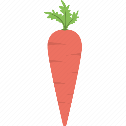 Carrot, food, healthy diet, organic food, vegetable icon - Download on Iconfinder