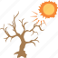 autumn season, crooked tree, dead tree, hot day, tree and sun 