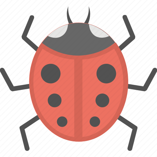 Beetle, insect, ladybird, ladybug, wildlife icon - Download on Iconfinder