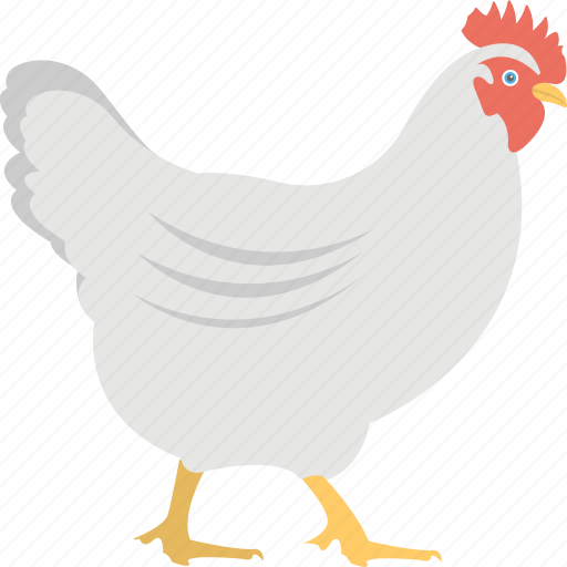 Animal, chicken, farming, hen, poultry icon - Download on Iconfinder