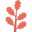 decorative plant, generic plant, generic twig, red colored twig, red foliage 