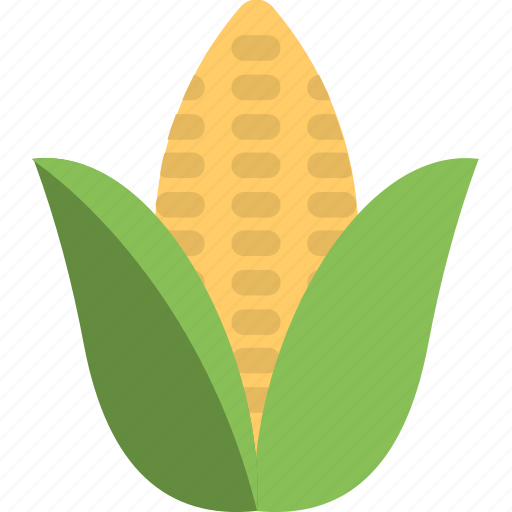 Agriculture, corn, corn cob, food, maize, sweet corn icon - Download on Iconfinder