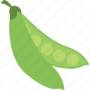 fresh peas, natural food, peas, peas seeds, vegetable 