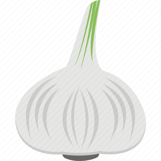 Food, garlic, garlic bulb, spice, vegetable icon - Download on Iconfinder