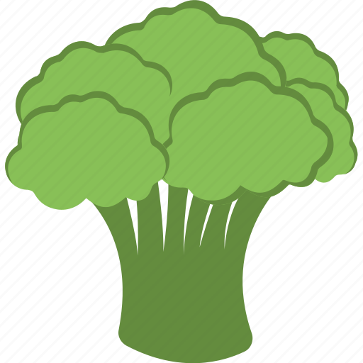Broccoli, cauliflower, green vegetable, organic food, vegetable icon - Download on Iconfinder