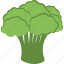 broccoli, cauliflower, green vegetable, organic food, vegetable 