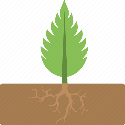 Agriculture, growing plant, plant, plantation, small plant icon - Download on Iconfinder