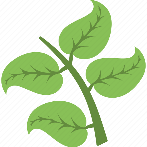 Foliage, greenery, leafy branch, tree branch, twig icon - Download on Iconfinder