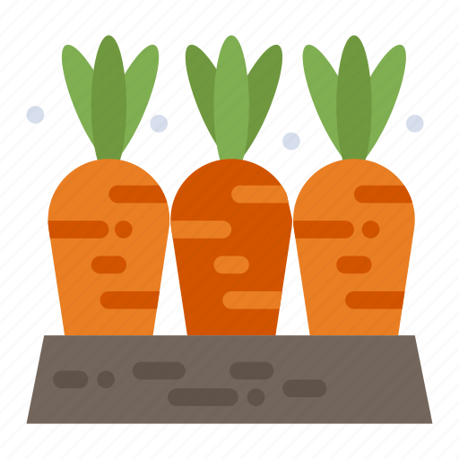 Agriculture, carrot, farm, food, vegetable icon - Download on Iconfinder