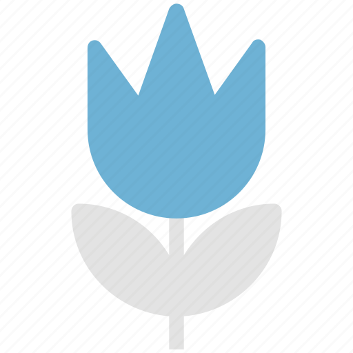 Blossom, floral, flower, nature, tulip, tulip bud icon - Download on Iconfinder