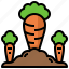 carrot, farming, food, gardening, organic, restaurant, vegan 