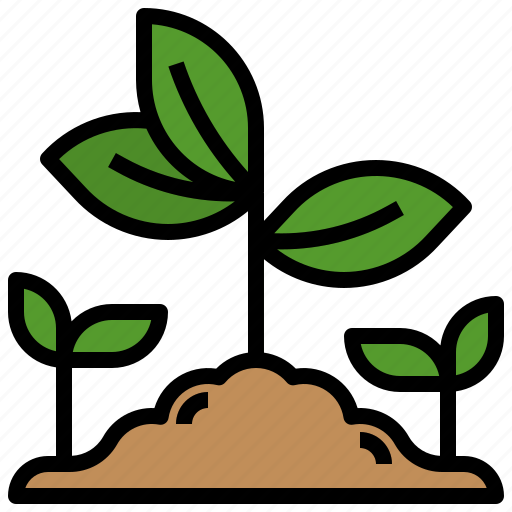 Farming, gardening, growing, nature, seed, sprout, tree icon - Download on Iconfinder