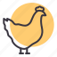 bird, chicken, egg, farm, hen, meat, poultry 