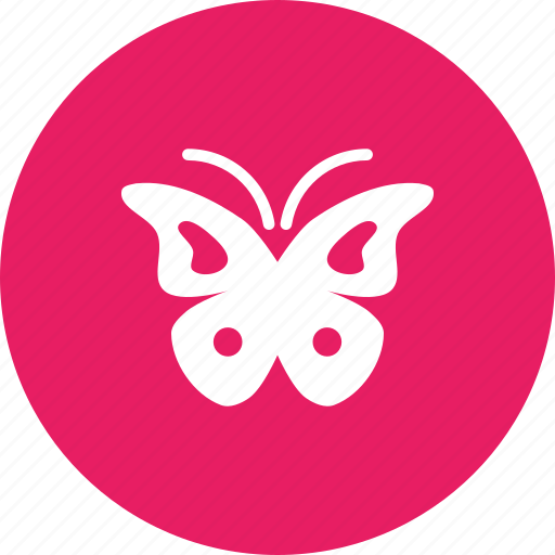 Butterfly, flutter, insect, monarch, moth, serenity, spring icon - Download on Iconfinder