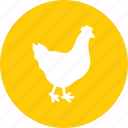 bird, chicken, egg, farm, hen, meat, poultry