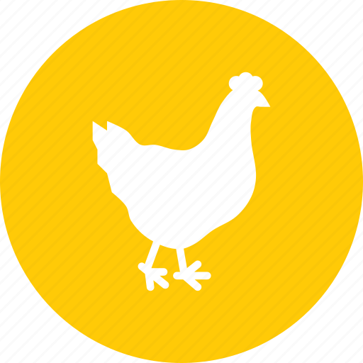 Bird, chicken, egg, farm, hen, meat, poultry icon - Download on Iconfinder
