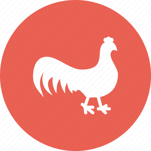 Agriculture, bird, cock, farm, meat, poultry, rooster icon - Download on Iconfinder
