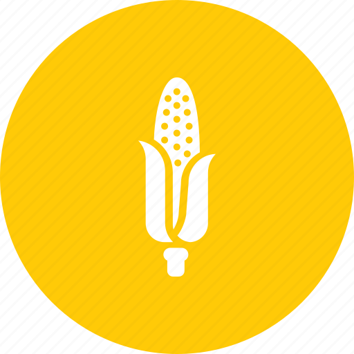 American, corn, crop, diet, grain, maize, sweet icon - Download on Iconfinder