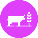 agriculture, cattle, cow, crop, cultivate, farming, livestock