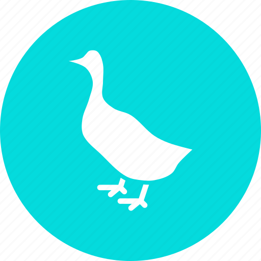 Agriculture, bird, chicken, duck, farm, meat, poultry icon - Download on Iconfinder