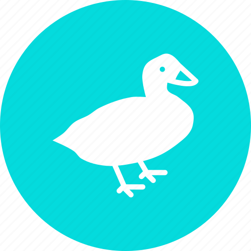 Agriculture, bird, farm, fowl, goose, meat, poultry icon - Download on Iconfinder