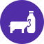 bottle, cow, dairy, drink, farm, glass, milk 