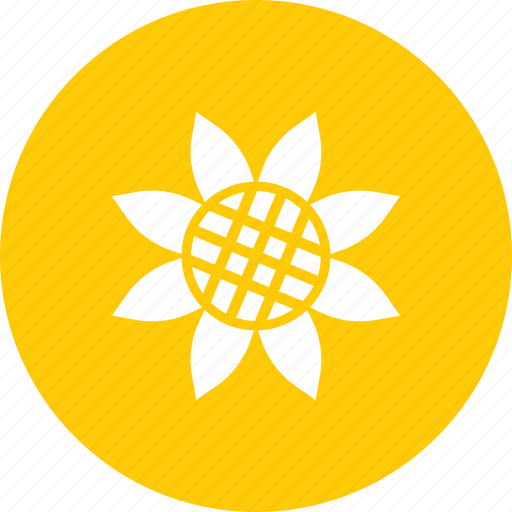 Bloom, blossom, flower, garden, gardening, spring, sunflower icon - Download on Iconfinder