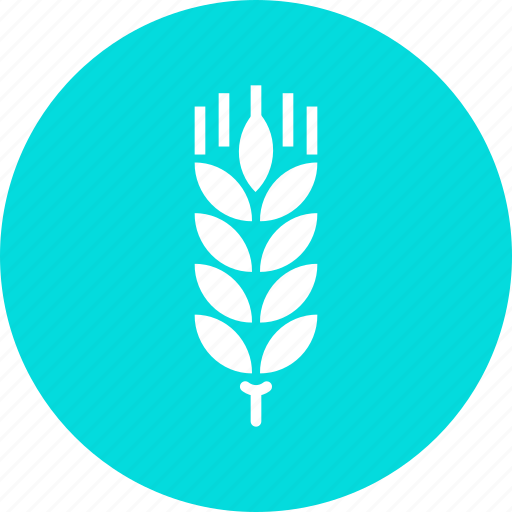 Agriculture, crop, cultivate, gluten, grain, harvest, wheat icon - Download on Iconfinder