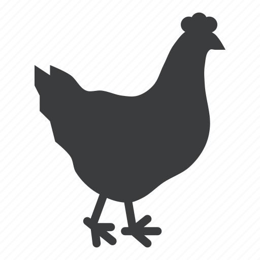 Bird, chicken, egg, farm, hen, meat, poultry icon - Download on Iconfinder