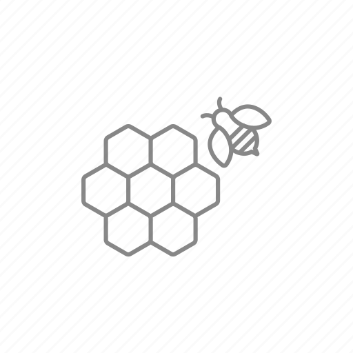 Bee, beehive, beekeeping, cell, cellular, honey, honeycomb icon - Download on Iconfinder
