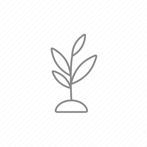 Growing, leaf, plant, seedling, soil, sprout, tree icon - Download on Iconfinder