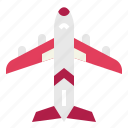aircraft, airplane, aviation, flight, plane