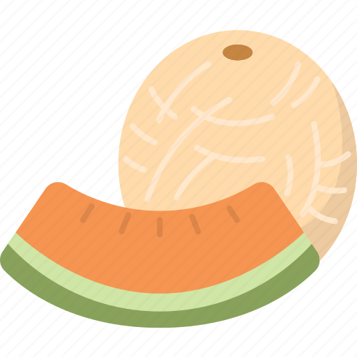 Cantaloupe, fruit, sweet, juicy, refreshing, melon icon - Download on Iconfinder