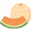 cantaloupe, fruit, sweet, juicy, refreshing, melon 