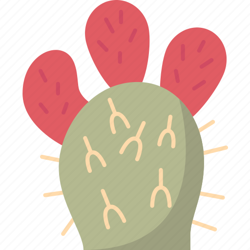 Pricklypear, cactus, fruit, succulent, plant icon - Download on Iconfinder