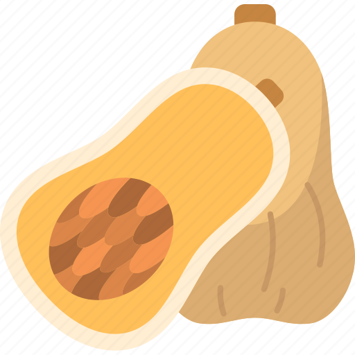 Squash, vegetable, butternut, yellow, fresh icon - Download on Iconfinder