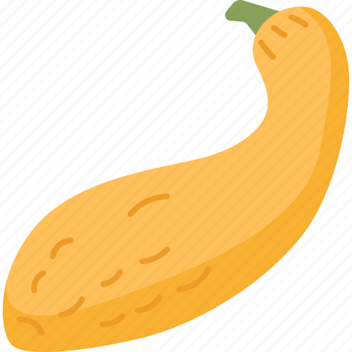 Squash, vegetable, fresh, healthy, organic icon - Download on Iconfinder