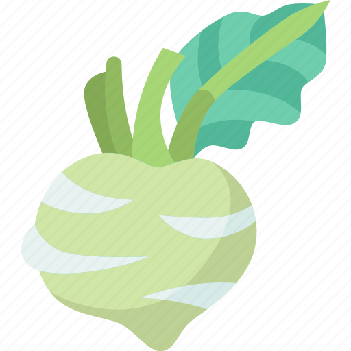 Turnip, vegetable, fresh, organic, healthy icon - Download on Iconfinder
