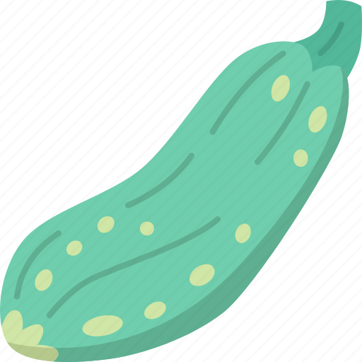 Zucchini, vegetable, squash, green, fresh icon - Download on Iconfinder
