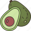 avocado, fruit, healthy, nutrition, green 