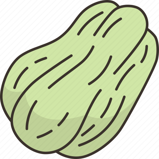 Chayote, peeled, green, healthy, vegetable icon - Download on Iconfinder