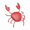 crab, seafood, shrimp, sushi, fish, sea, animal, food, ocean
