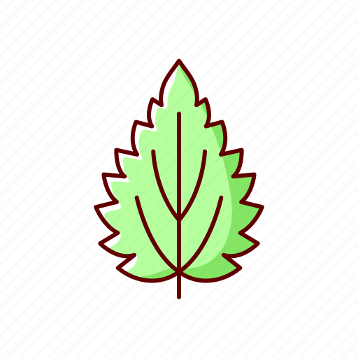 Leaf, nettle, allergen, herb icon - Download on Iconfinder