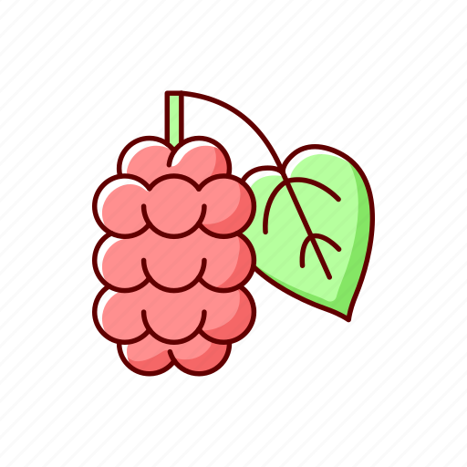 Mulberry plant, blackberry, fruit, allergen icon - Download on Iconfinder