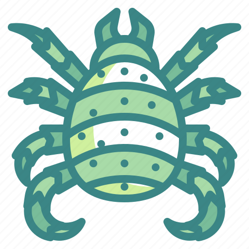 Mite, insect, entomology, bug, animals icon - Download on Iconfinder