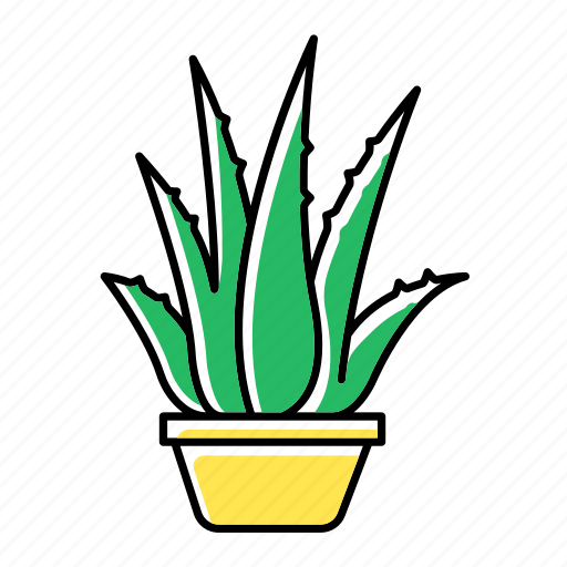 Aloe, cactus, flowerpot, houseplant, plant, succulent, vera icon - Download on Iconfinder