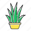 aloe, cactus, flowerpot, houseplant, plant, succulent, vera 