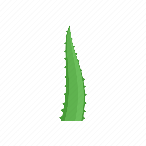 Aloe, fresh, green, health, healthy, piece icon - Download on Iconfinder