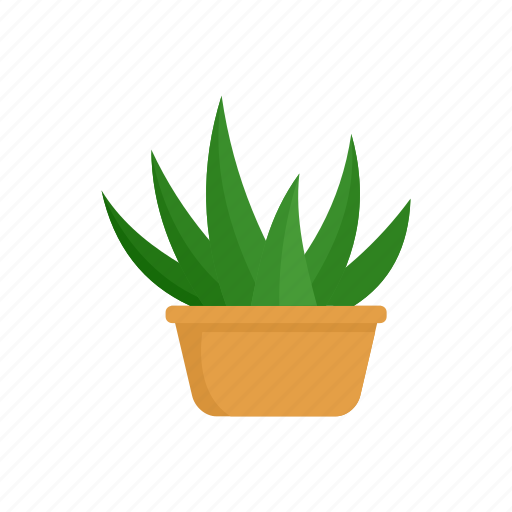Aloe, blossom, botanical, botany, cute, plant, room icon - Download on Iconfinder